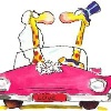 Jolien